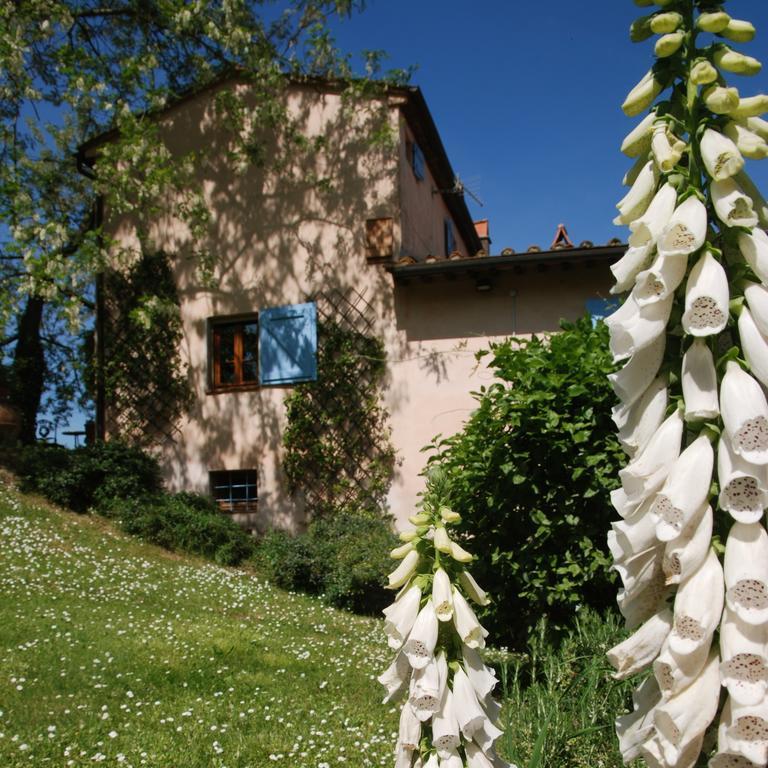 Appartamento Con Patio Privato E Giardino Tra Pisa E Firenze Palaia Exterior photo