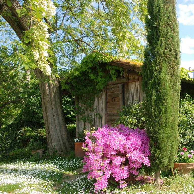 Appartamento Con Patio Privato E Giardino Tra Pisa E Firenze Palaia Exterior photo
