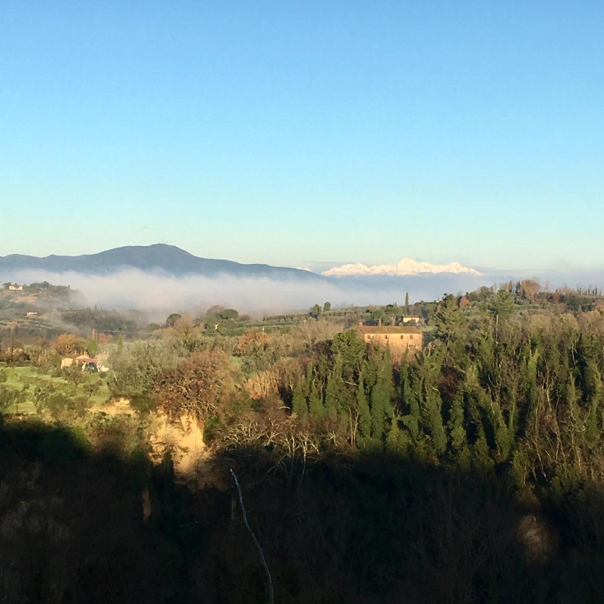 Appartamento Con Patio Privato E Giardino Tra Pisa E Firenze Palaia Exterior photo