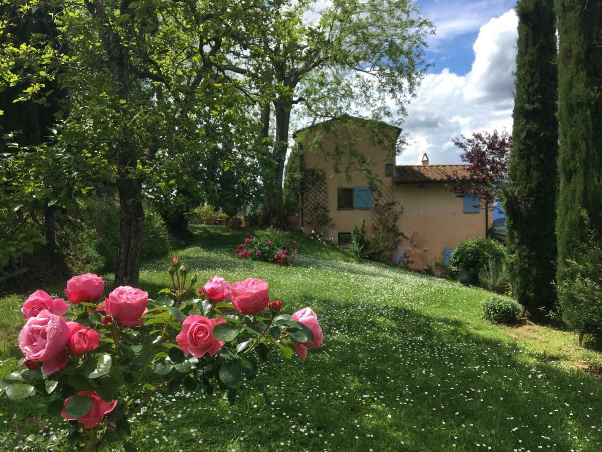 Appartamento Con Patio Privato E Giardino Tra Pisa E Firenze Palaia Exterior photo